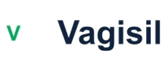 Vagisil logo