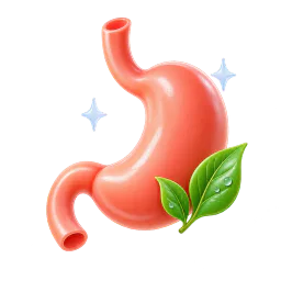 Indigestion & Digestive Discomfort care at 800 Pharmacy
