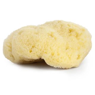 Najel Natural Mediterranean Sea Sponge 9-10 cm - 1 Piece