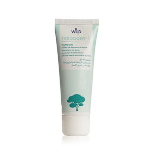 Tebodont-F Toothpaste 75ml